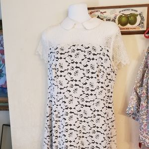 Kensie large collared black and white lace dress